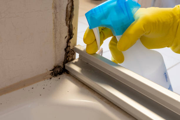 Best Industrial Mold Remediation in Roslyn Estates, NY